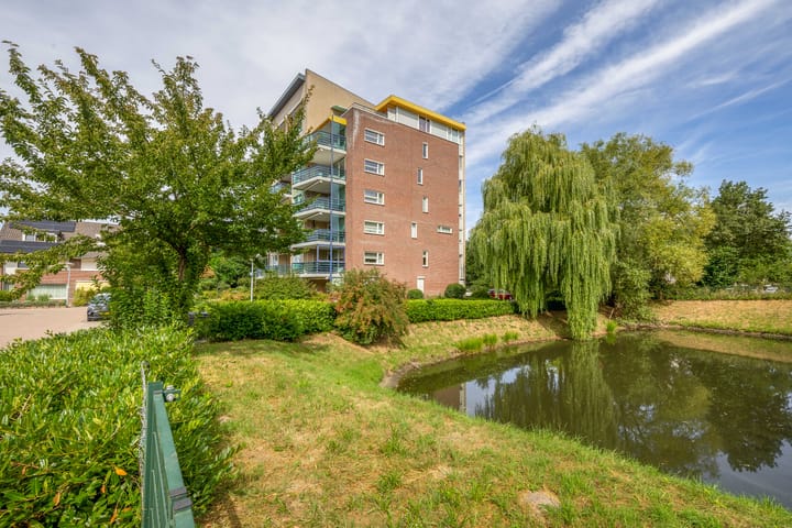 Foto 27 van Veldzuring 23