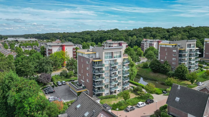 Foto 29 van Veldzuring 23