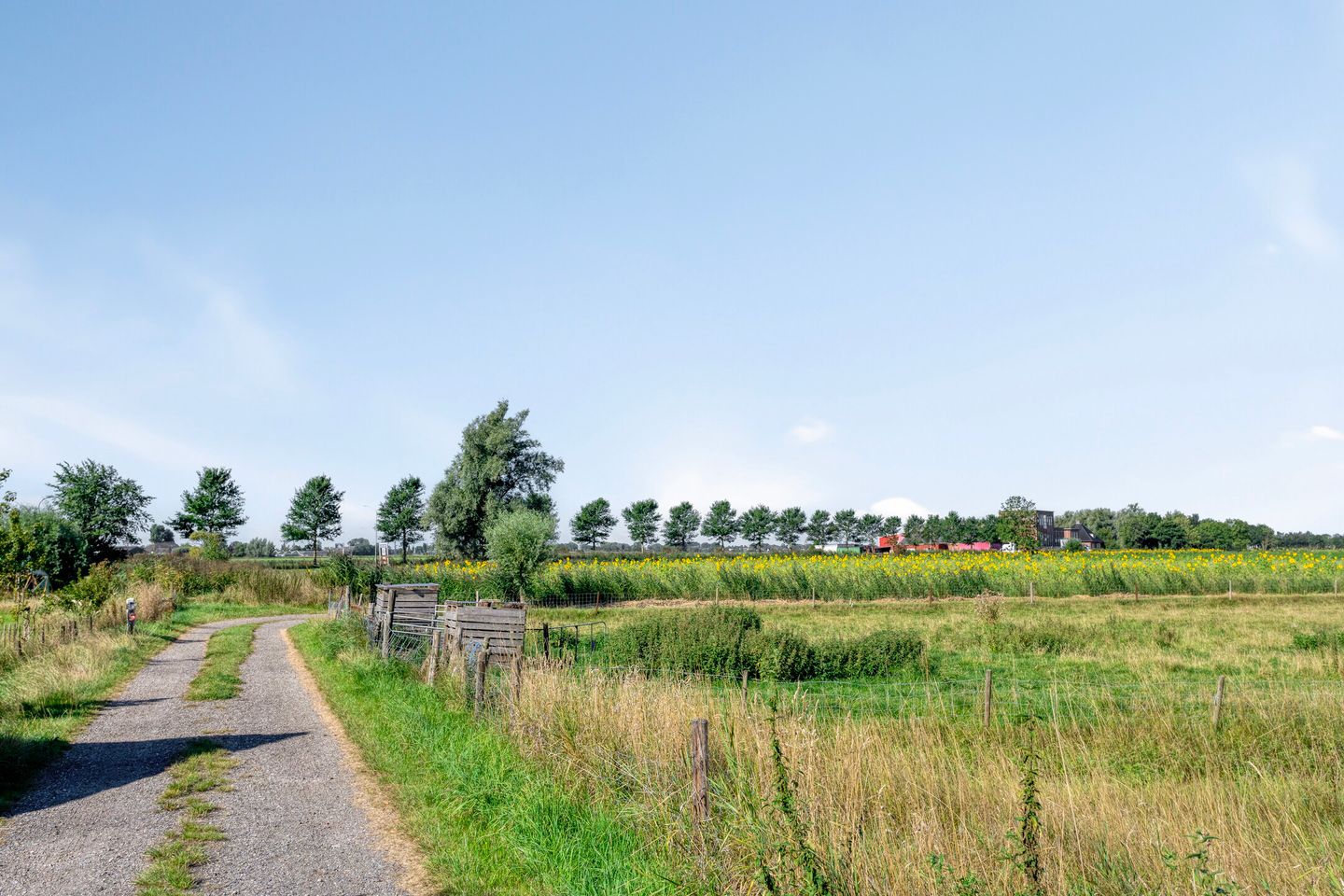 Photo 49 of Torenstraat 8