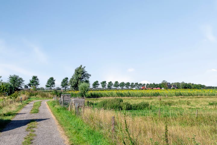 Foto 49 van Torenstraat 8