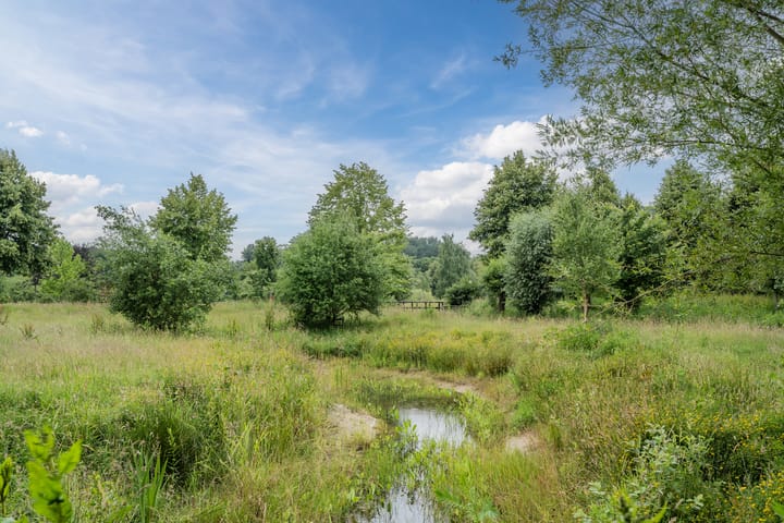 Foto 32 van Breestraat 56