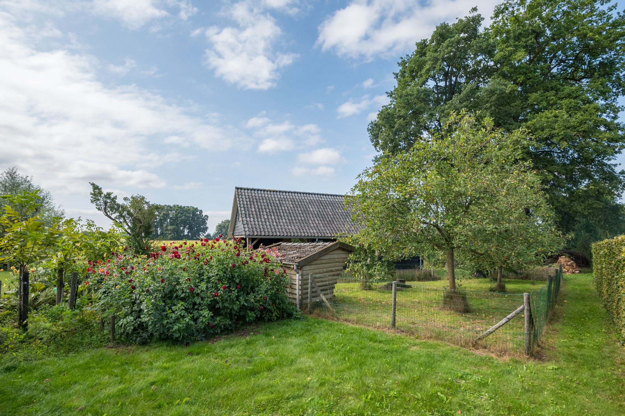 Photo 60 of Steenderenseweg 13