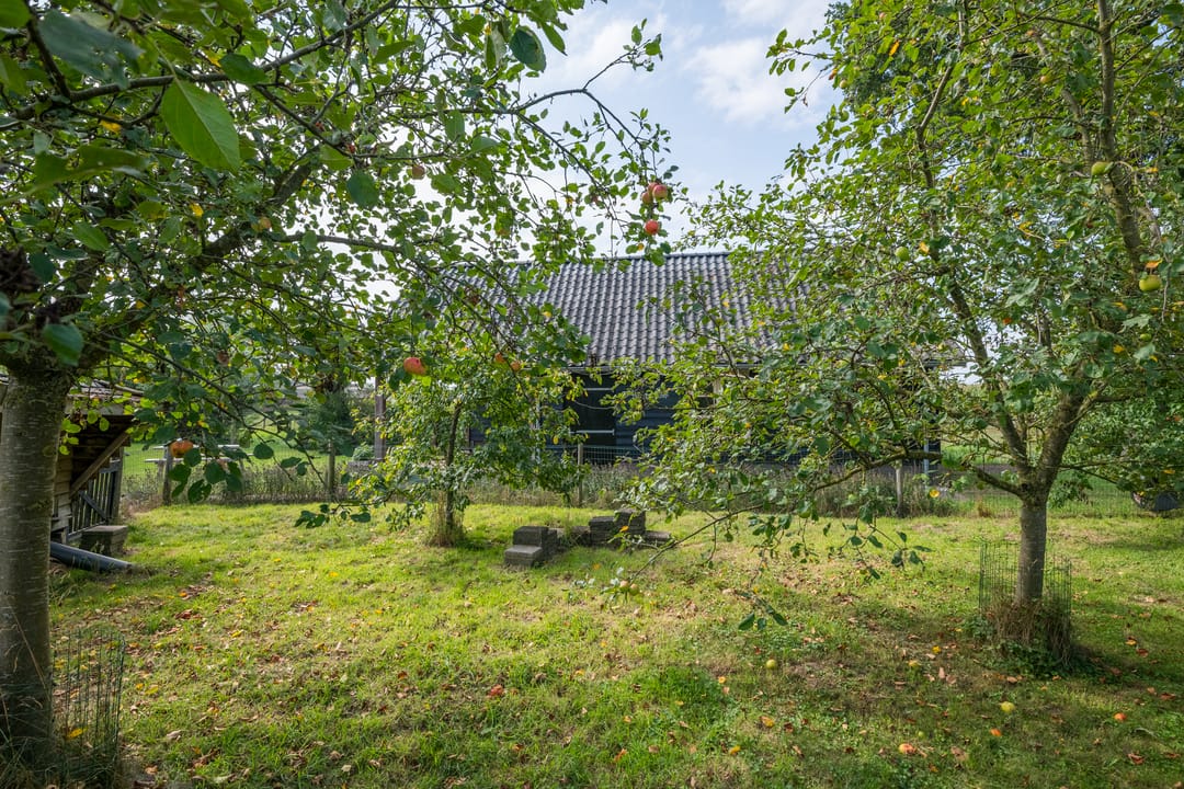 Photo 61 of Steenderenseweg 13