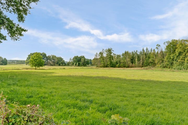 Foto 2 van Buitensingel 42