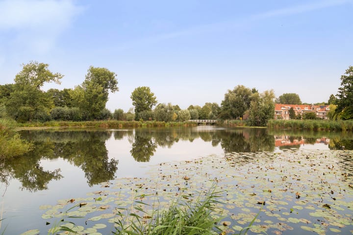 Foto 49 van Parallelstraat 46-B