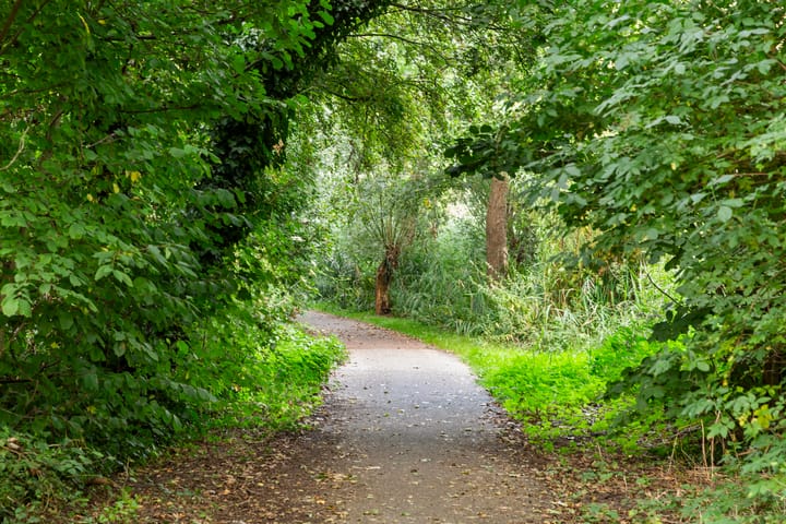 Foto 50 van Parallelstraat 46-B