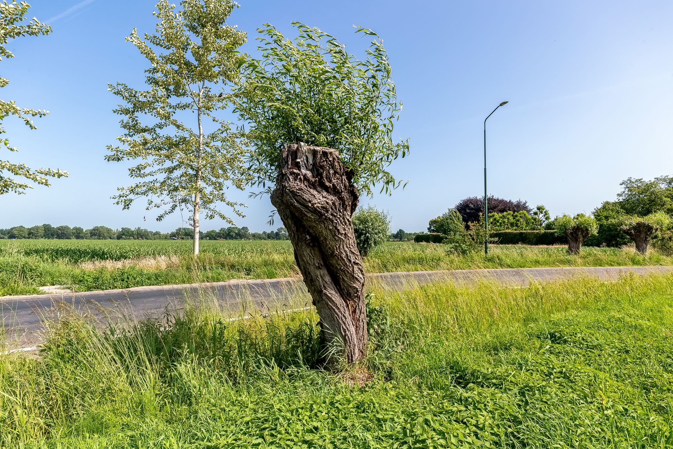 Foto 9 van Deel (Kavel D4)