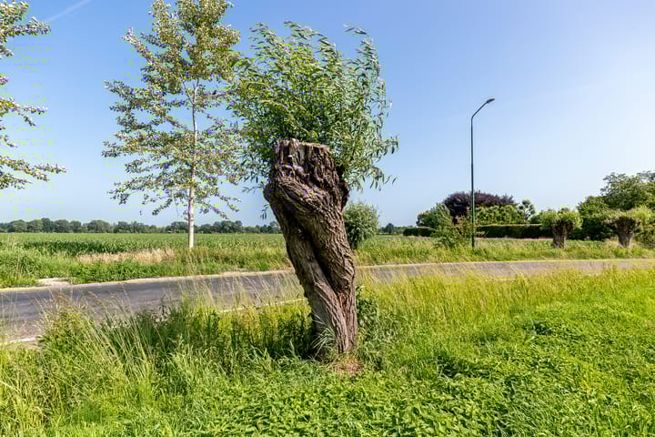 Foto 9 van Deel (Kavel D7)