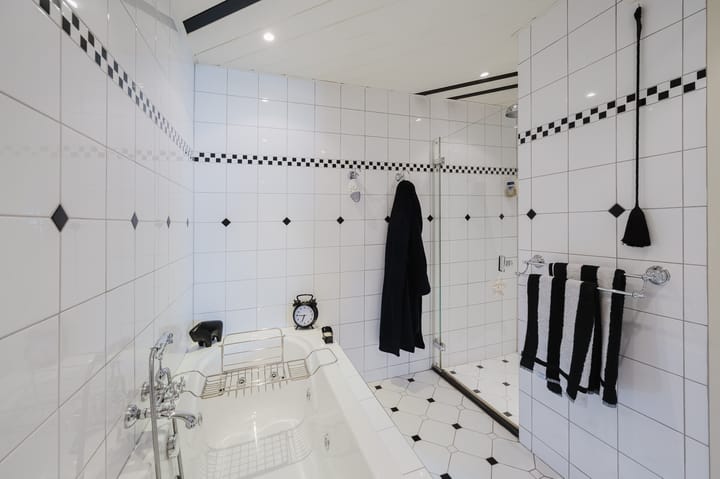 Foto 5 van Suze Robertsonstraat 18