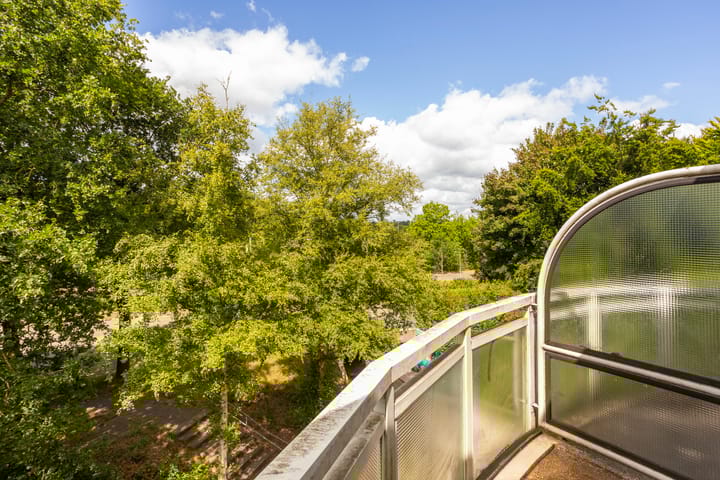 Foto 25 van Vrijhoef 50