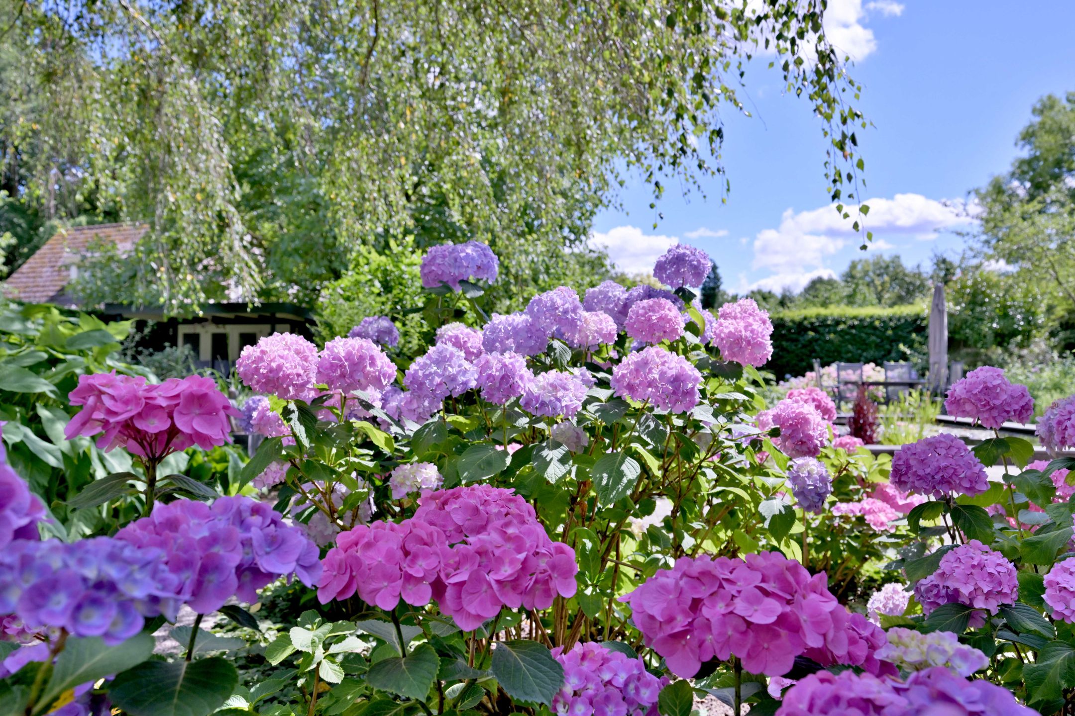 Foto 39 van Schuurmansweg 24