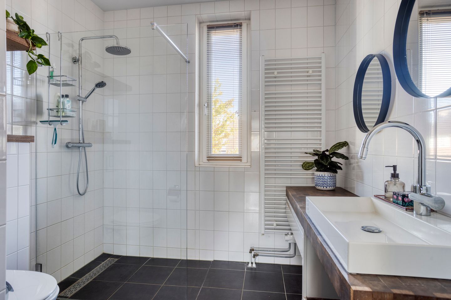 Photo 19 of Dominicus van Ophovenstraat 18