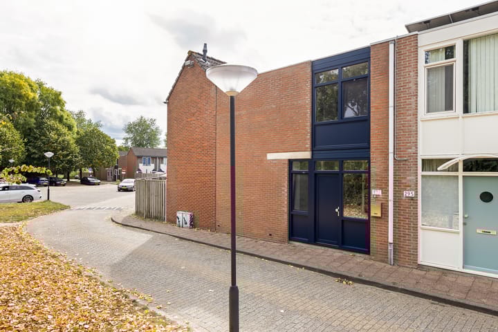 Foto 1 van Kanariesprenk 377