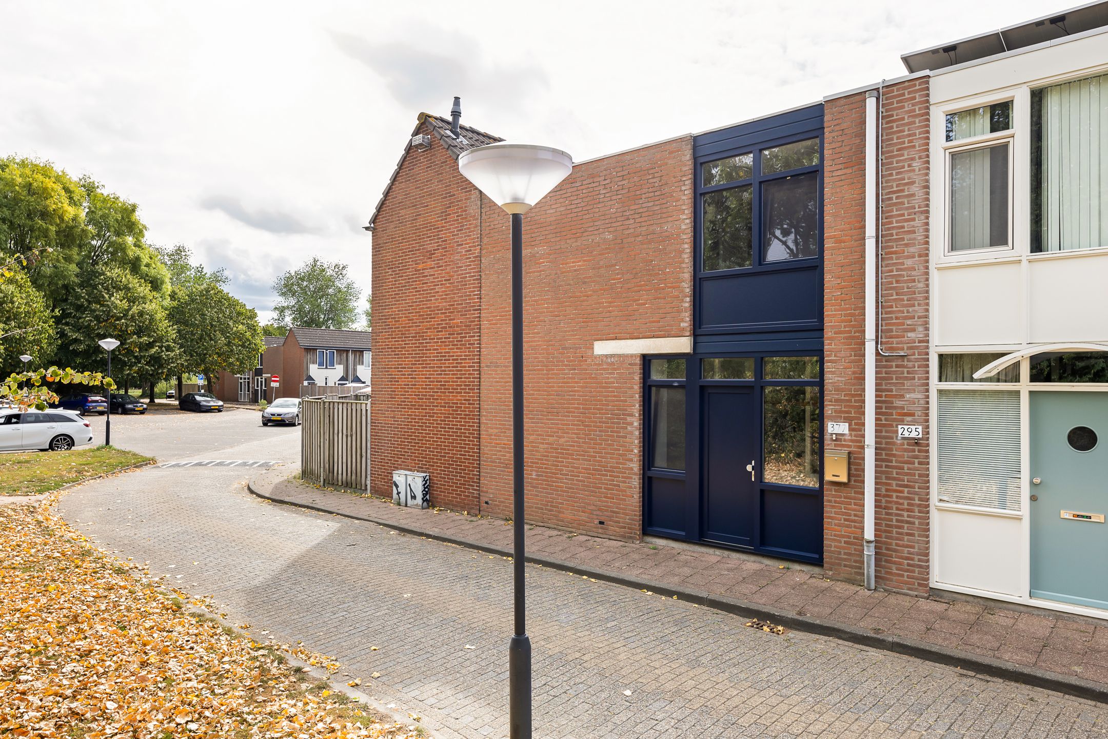 Kanariesprenk, 377, Vlissingen, 4386DN, Zeeland, Nederland 377