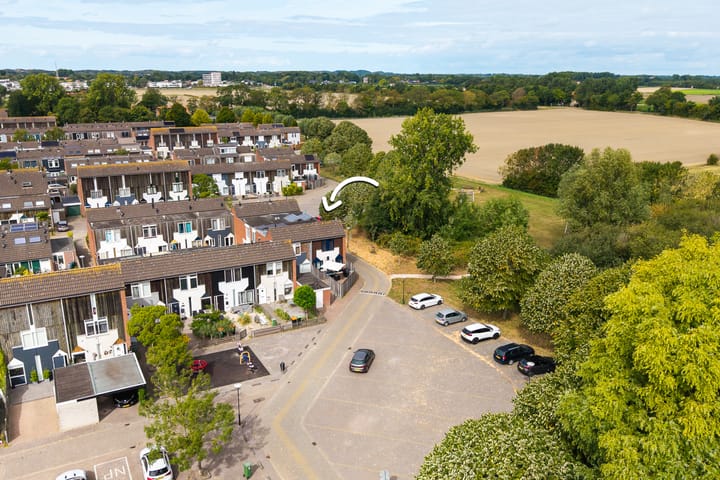 Foto 2 van Kanariesprenk 377