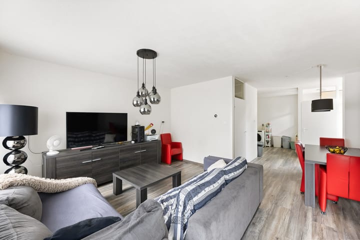 Foto 4 van Kanariesprenk 377