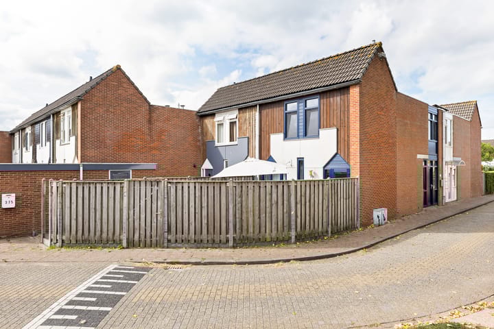 Foto 5 van Kanariesprenk 377