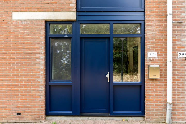 Foto 6 van Kanariesprenk 377