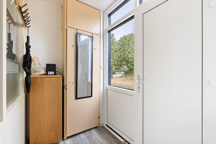 Foto 7 van Kanariesprenk 377