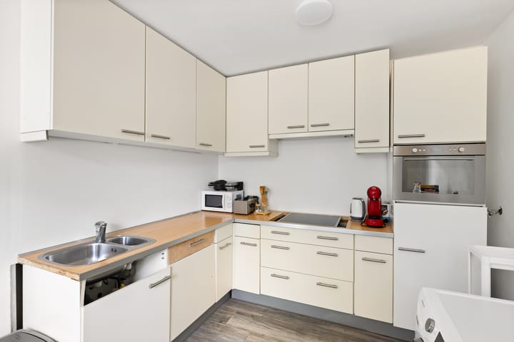 Foto 8 van Kanariesprenk 377