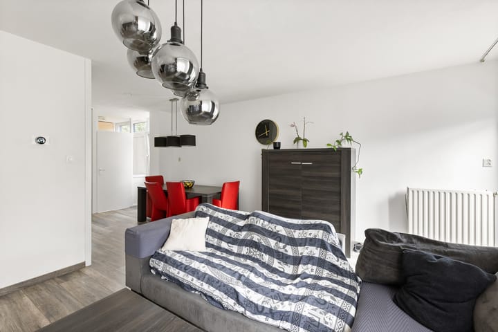 Foto 12 van Kanariesprenk 377