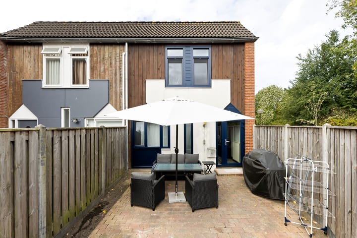 Foto 13 van Kanariesprenk 377