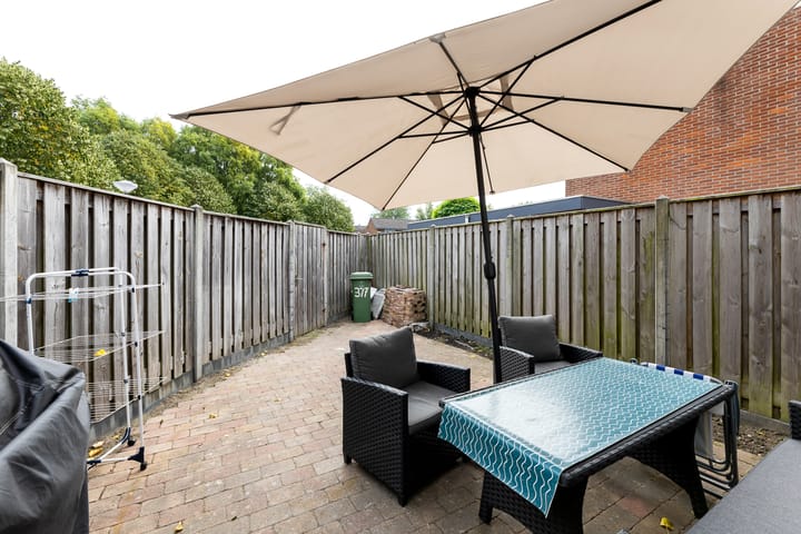 Foto 14 van Kanariesprenk 377