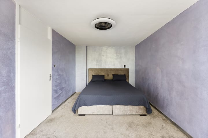 Foto 18 van Kanariesprenk 377