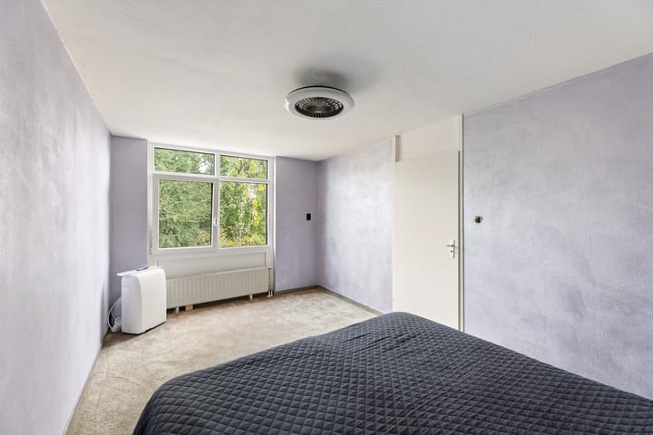 Foto 19 van Kanariesprenk 377