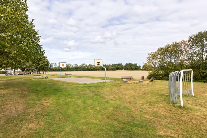 Foto 22 van Kanariesprenk 377