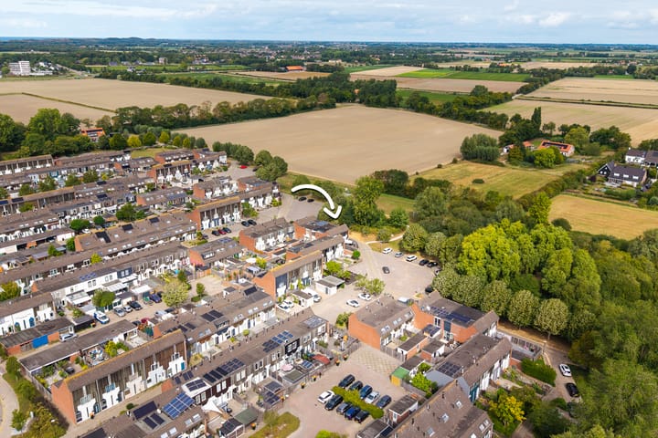 Foto 23 van Kanariesprenk 377