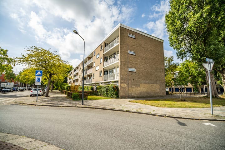 Foto 35 van Brahmslaan 255