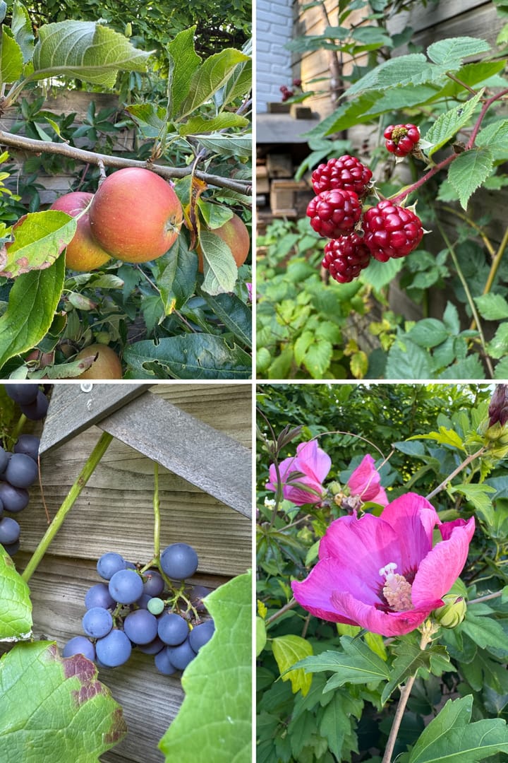 Foto 27 van Goudenregenlaan 2