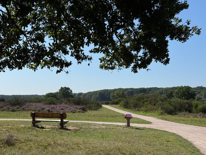 Foto 31 van Goudenregenlaan 2