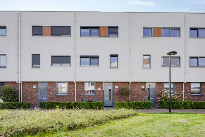 Foto 1 van Muurhagedis 18