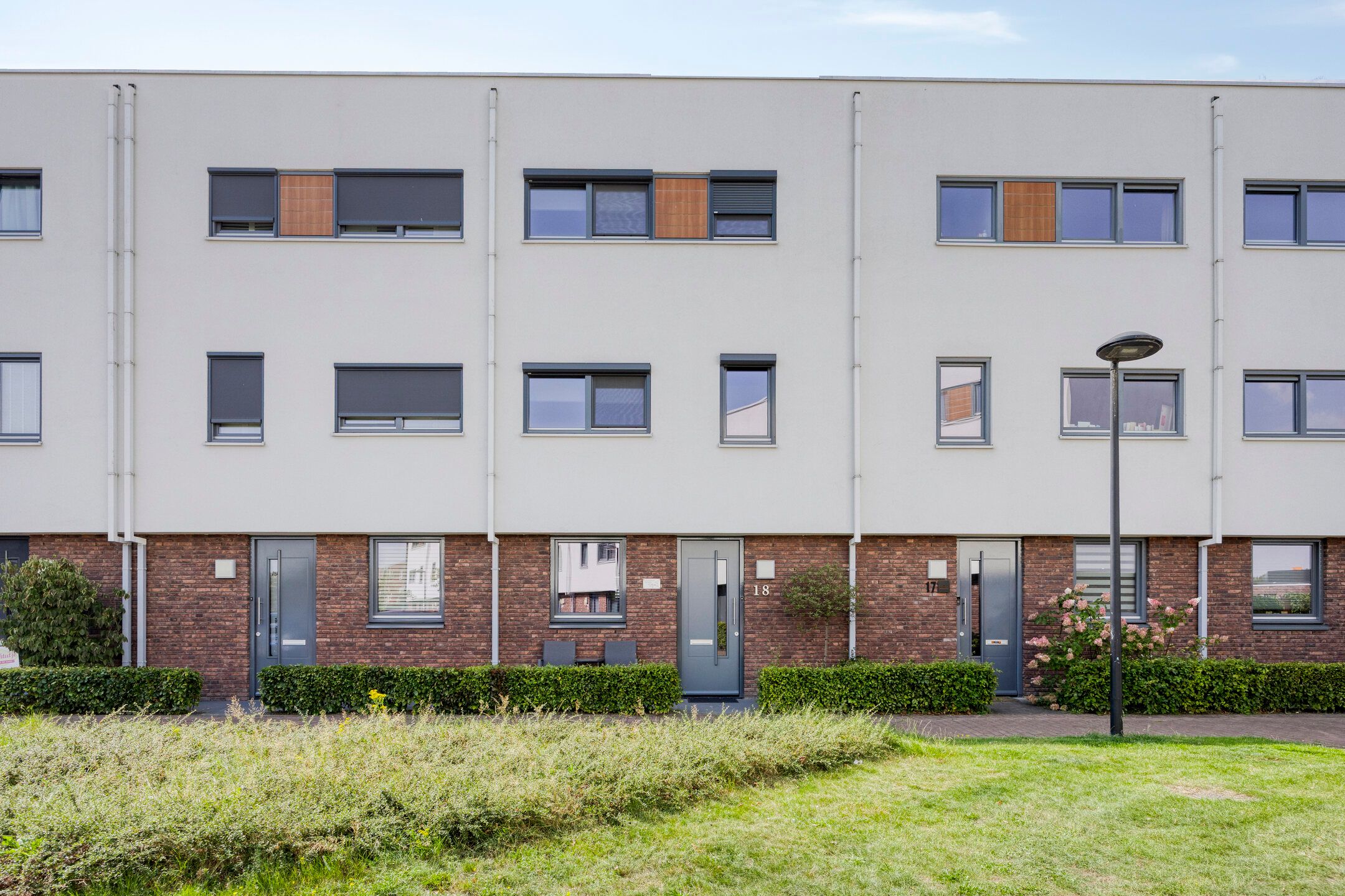 Muurhagedis, 18, Goirle, 5052HE, Noord-Brabant, Nederland 18