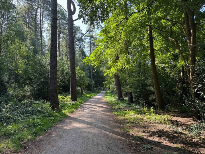 Foto 32 van Goudenregenlaan 2