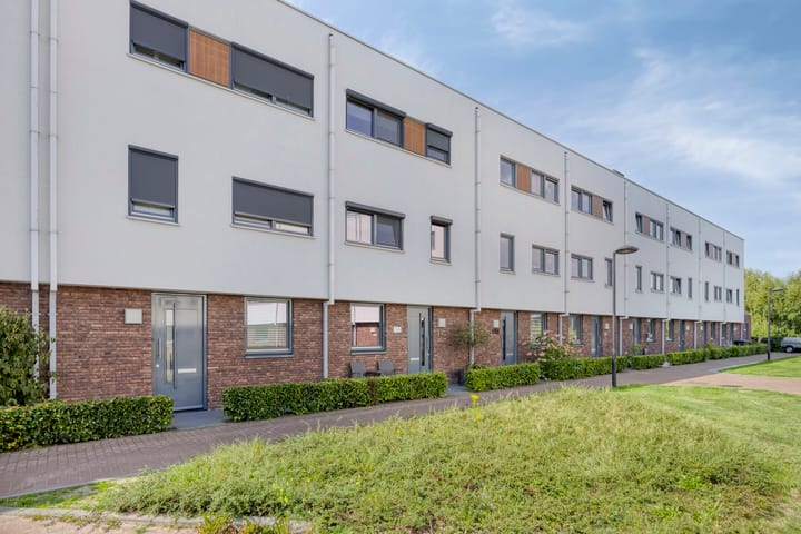 Foto 6 van Muurhagedis 18