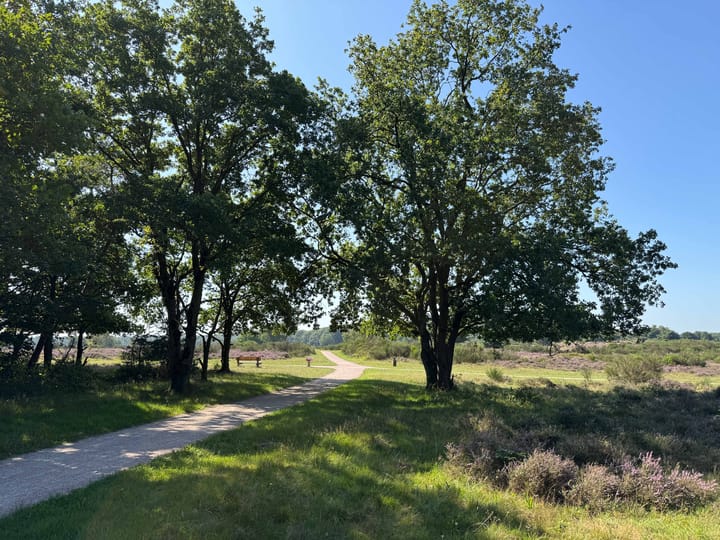 Foto 33 van Goudenregenlaan 2