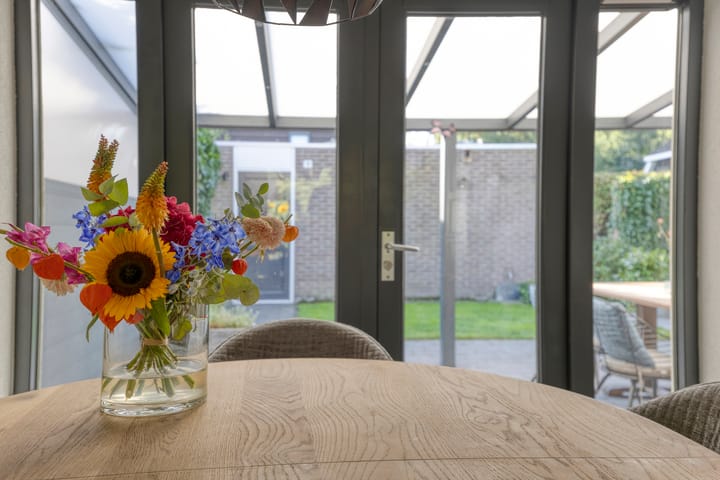 Photo 19 of Bovenkruier 9