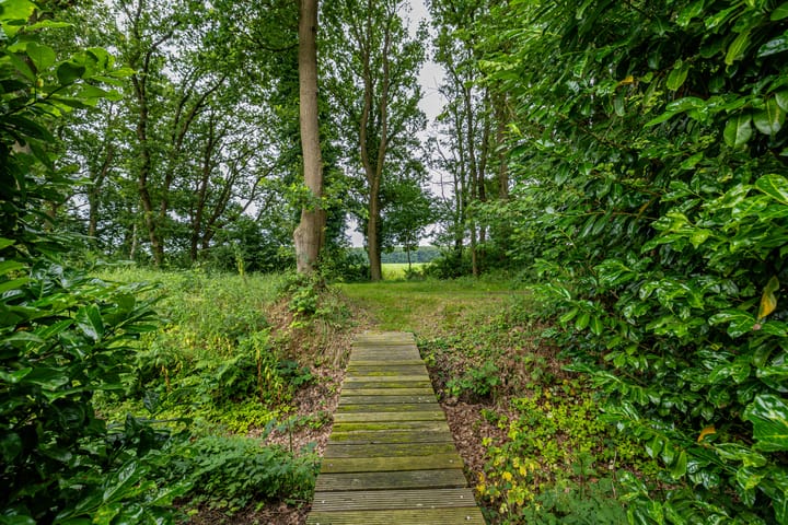 Foto 41 van Verlengde Asserstraat 71