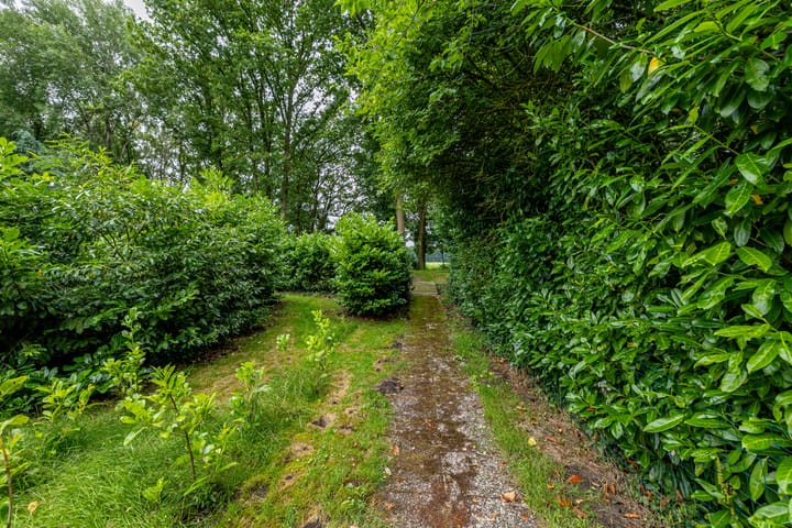 Foto 42 van Verlengde Asserstraat 71