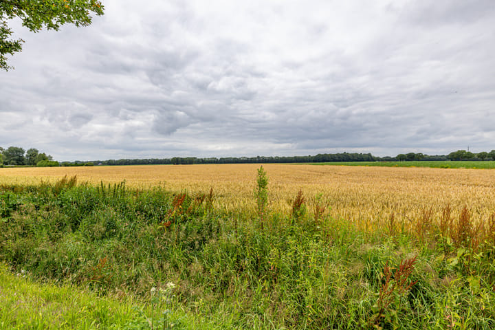Foto 46 van Verlengde Asserstraat 71