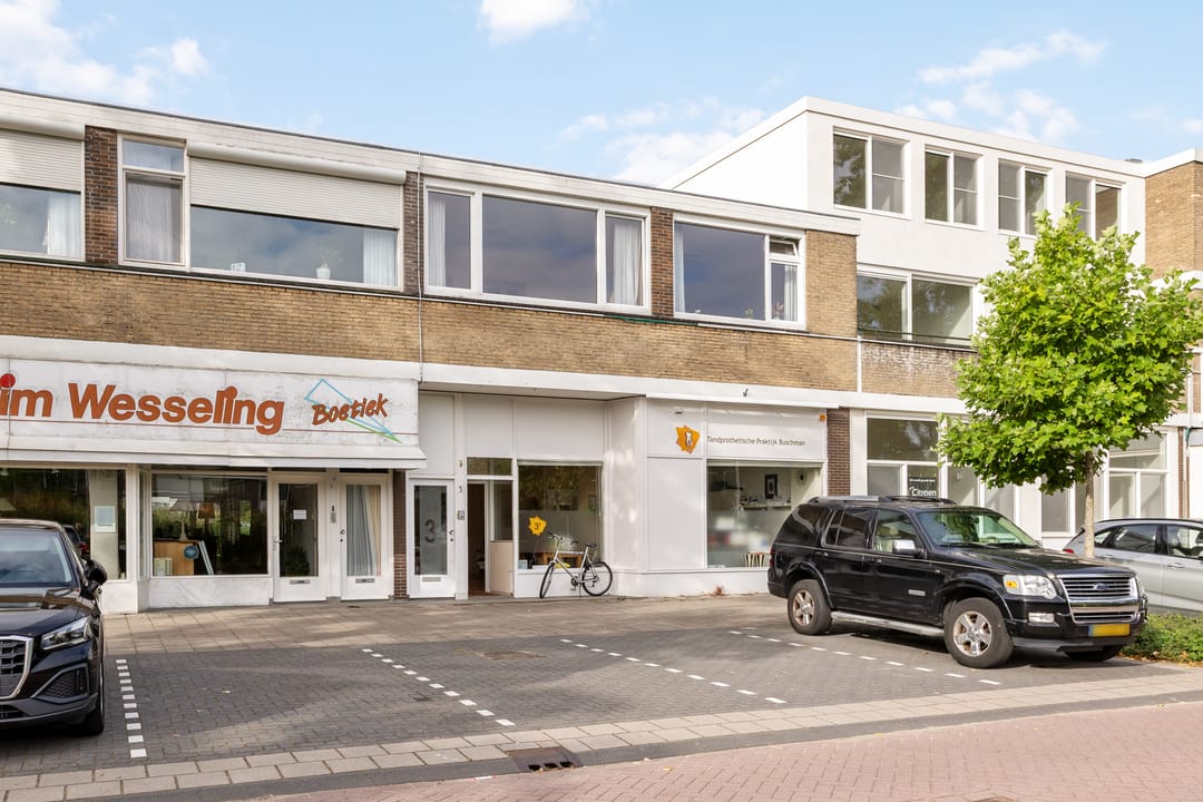 Foto 1 van Johannes Vermeerplantsoen 3