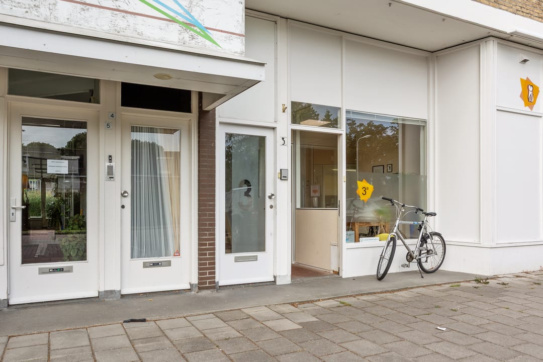 Foto 23 van Johannes Vermeerplantsoen 3