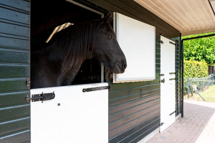 Photo 3 of Garderenseweg 160