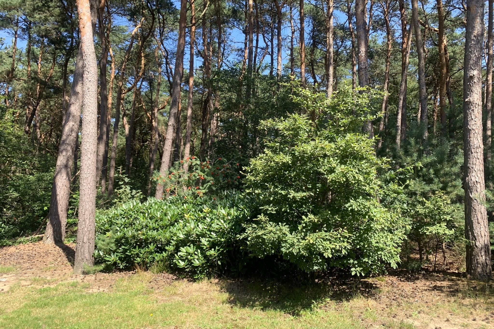 Foto 6 van Tunnelweg 7-110