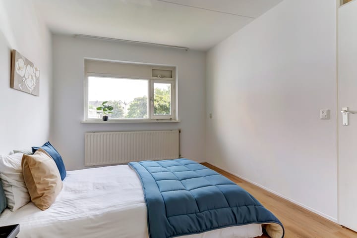 Foto 16 van Het Nieuwe Land 101