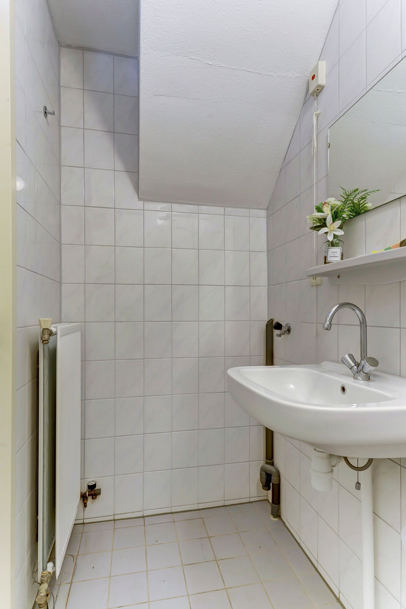 Foto 21 van Het Nieuwe Land 101