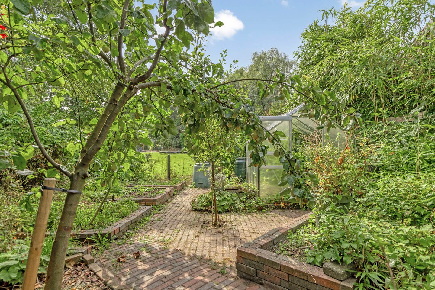 Photo 34 of Schippersstraat 4